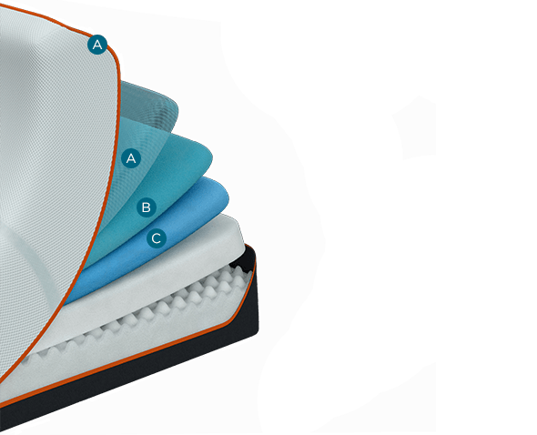 luxeadapt-firm-featured2.width-600.png